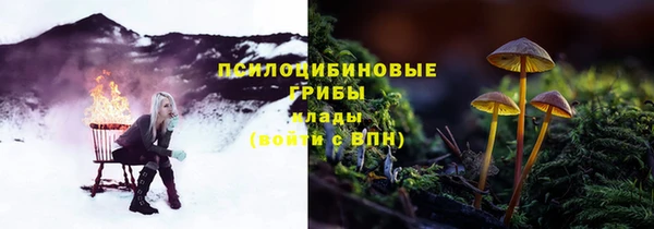 тгк Богданович