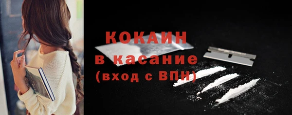 тгк Богданович