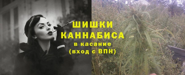 тгк Богданович
